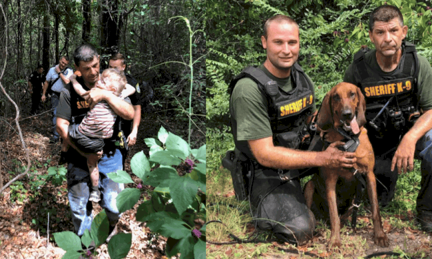 Police bloodhound sniffs out missing 3-year-old with autism in less than 30 minutes