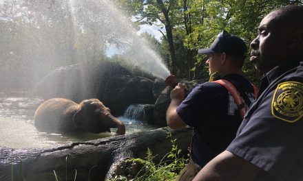 Cincinnati Zoo celebrate First Responders Week